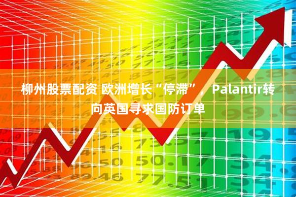 柳州股票配资 欧洲增长“停滞”，Palantir转向英国寻求国防订单