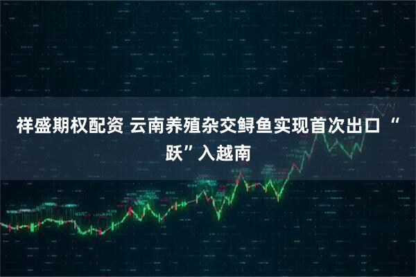 祥盛期权配资 云南养殖杂交鲟鱼实现首次出口 “跃”入越南