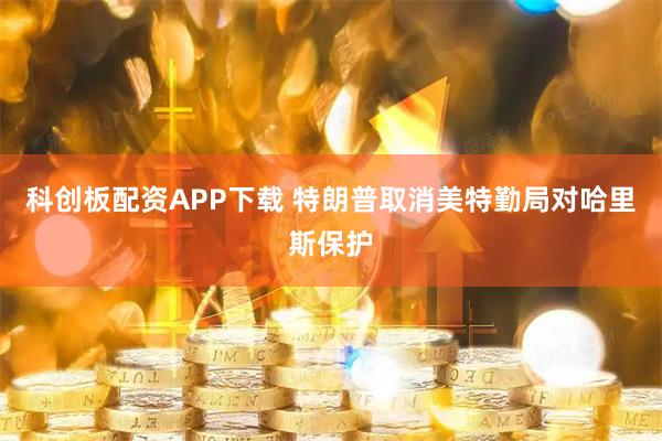 科创板配资APP下载 特朗普取消美特勤局对哈里斯保护